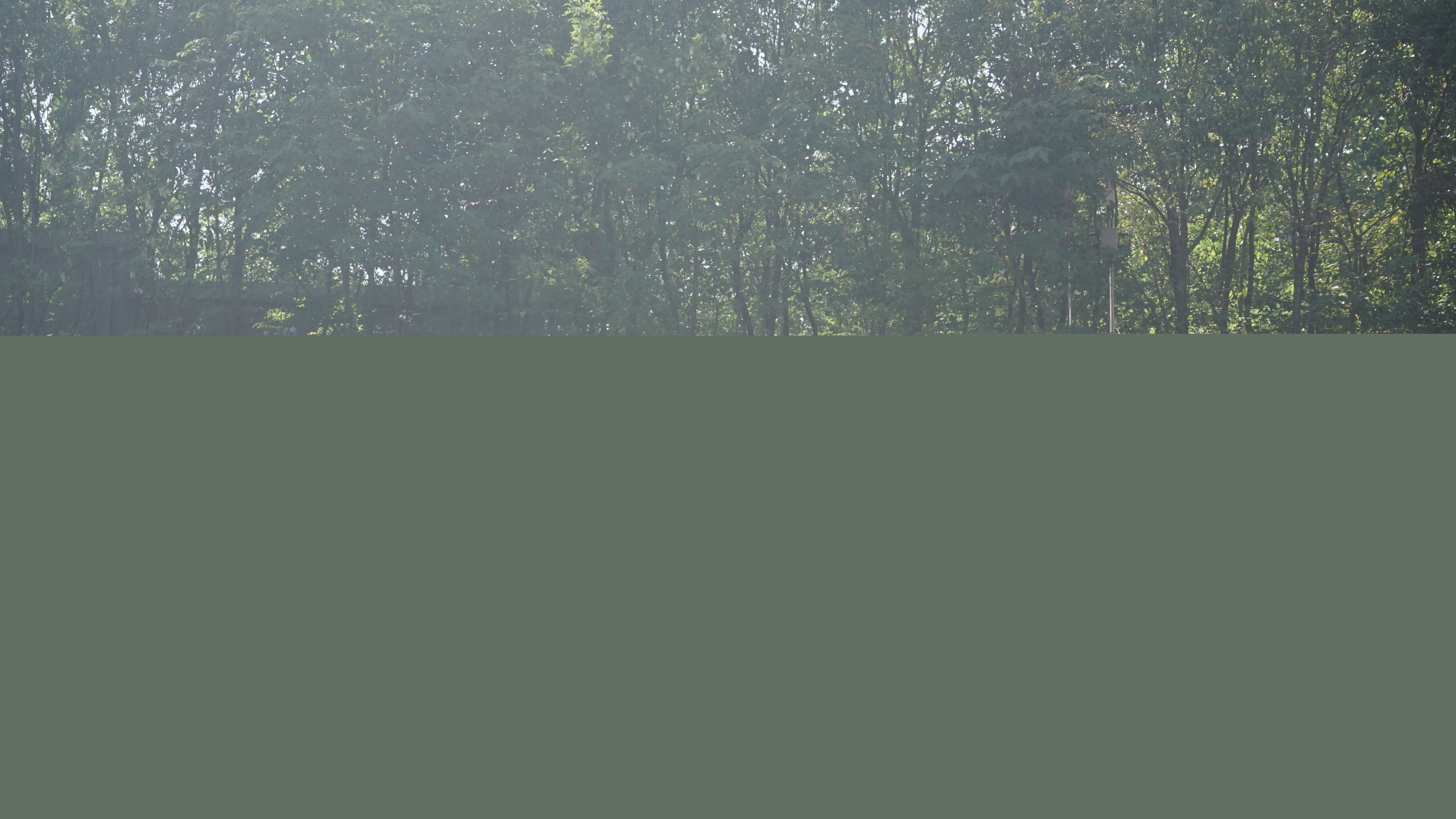 DSC08577.JPG